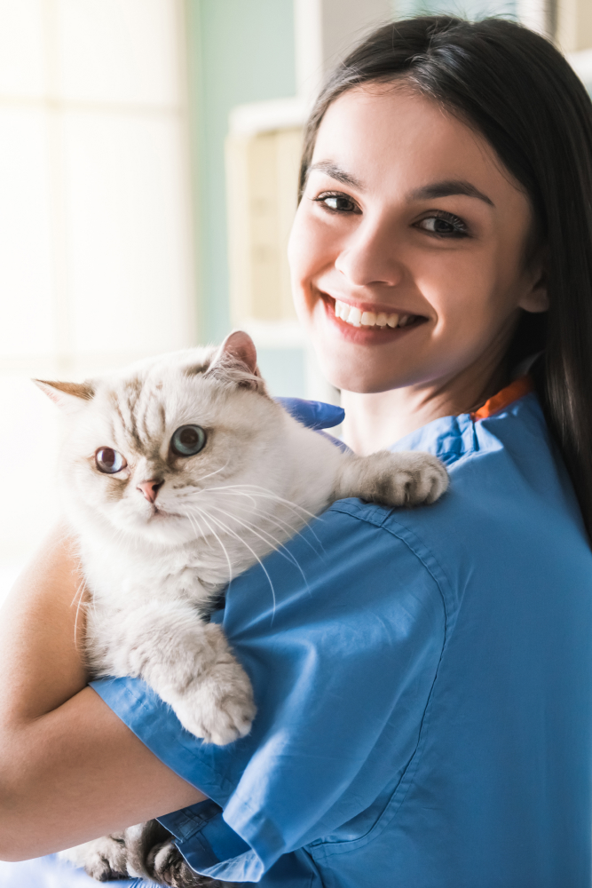 vet with cat